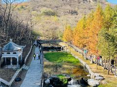 -白水寺森林公园
