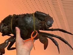 -Ministry of Crab•MOC(交子大道店)