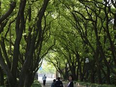 -西郊宾馆·1921餐厅