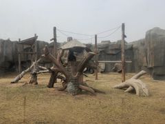 -齐齐哈尔龙沙动植物园