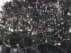 -嘉定博物馆
