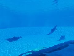 -横琴湾水世界