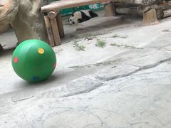-杭州野生动物世界