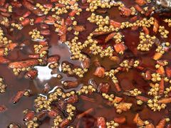 -味之绝热血美蛙鱼火锅(中坝店)