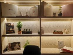 -东英经典SKIN&SPA
