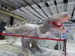 -宁波冰雪大世界(北仑区)