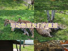 -横道河子东北虎林园