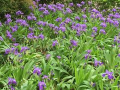 android_upload_pic-南馆公园