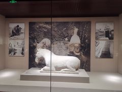 -宁夏博物馆