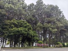 -南北湖风景区