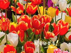 -捞渔河湿地公园