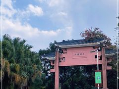 -水濂山森林公园