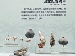 -云南省博物馆