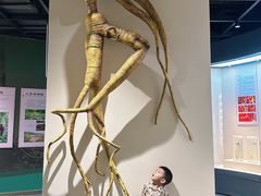 -广东中医药博物馆