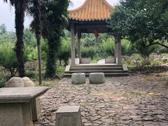 -雨花胜境