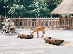 -金沙遗址博物馆