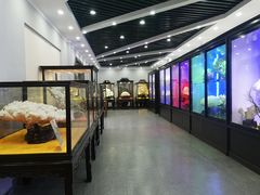 -游龙石文化科普馆