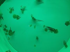 -常州海昌海洋探索馆