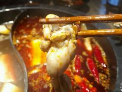 -销魂美蛙鱼头火锅(上海首店)