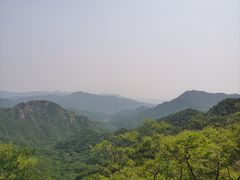 -大岭沟猕猴桃谷风景区