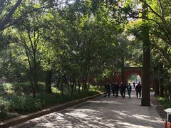 -灵谷景区