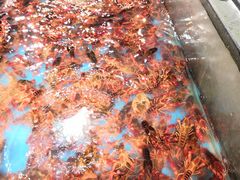 -盒马鲜生(曜一城店)
