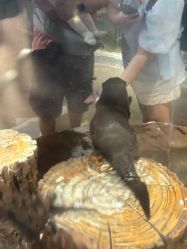 -Zoolung Zoolung动物主题公园(海信广场店)