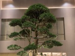 -外滩·云南人家(昆明旗舰店)