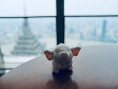 -上海柏悦酒店·世纪100牛排馆