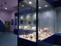 -福州罗源湾海洋世界旅游区