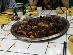 -晓彭肥肠鸡·泡椒鸡火锅(水木天地店)