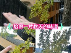 -大罗山风景区