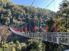 -九龙江国家森林公园