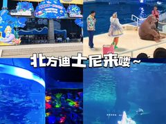 -泉城欧乐堡海洋极地世界