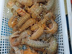 -金沙滩海鲜餐厅·海肠捞饭·手工水饺(梅江龙水园店)