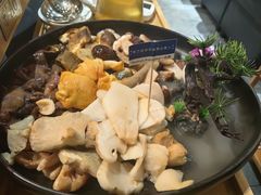 -一朵菌·野生菌探索家火锅(南亚店)