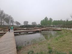 -东郊湿地公园