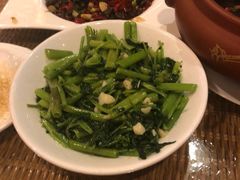 -广信传说