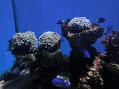 -大连老虎滩海洋公园