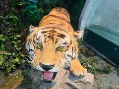 -烟台自然博物馆