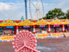 -祥源·阜阳生态乐园