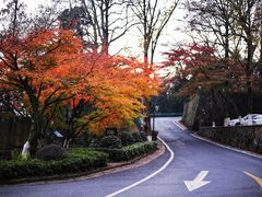 -莫干山风景区