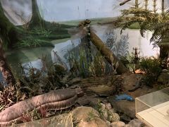 -陕西自然博物馆