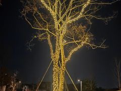 -乌鲁木齐奥林匹克体育中心