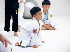 -菠萝格斗巴西柔术训练馆