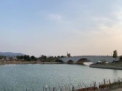 -西京湾花海