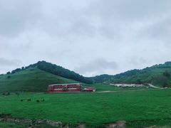 -关山草原