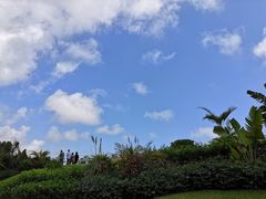 -沙美村