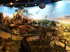 -陕西自然博物馆