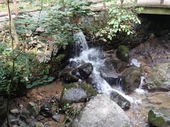 -藏龙百瀑风景区